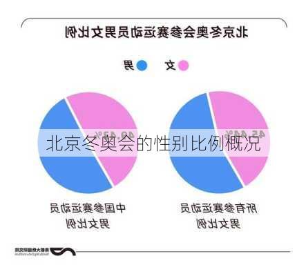 北京冬奥会的性别比例概况
