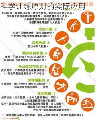 科学训练原则的实际应用