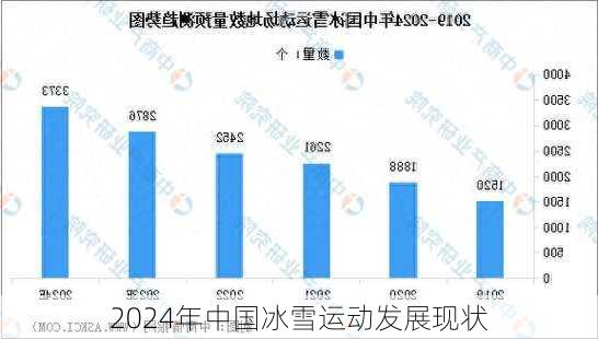 2024年中国冰雪运动发展现状