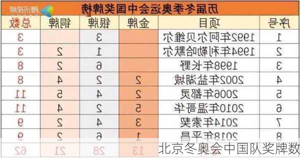 北京冬奥会中国队奖牌数