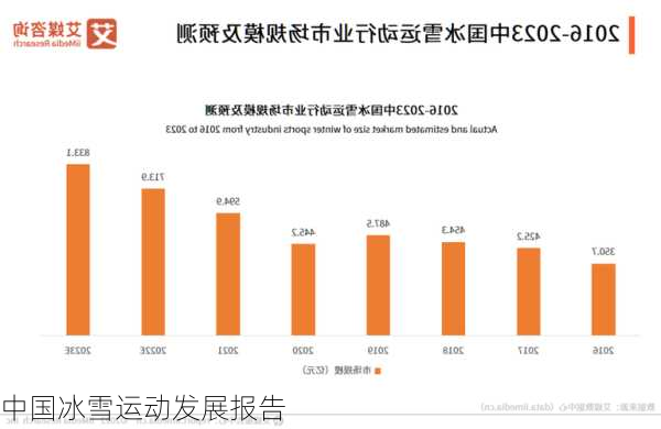 中国冰雪运动发展报告