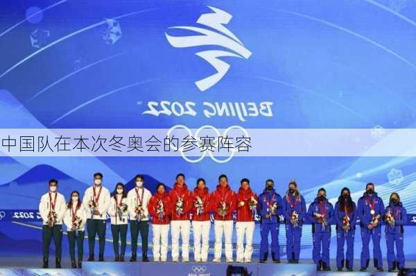 中国队在本次冬奥会的参赛阵容