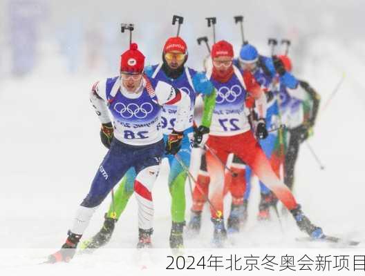 2024年北京冬奥会新项目