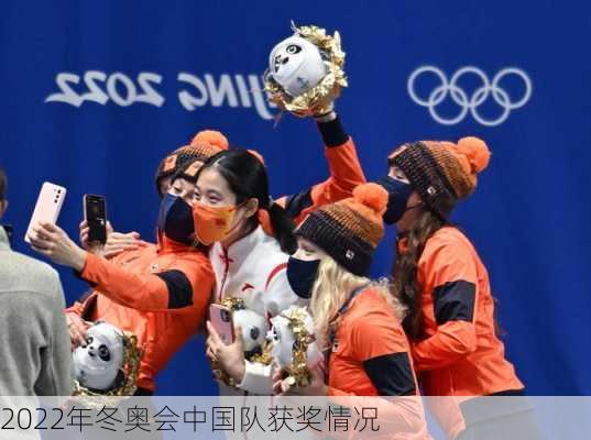 2022年冬奥会中国队获奖情况