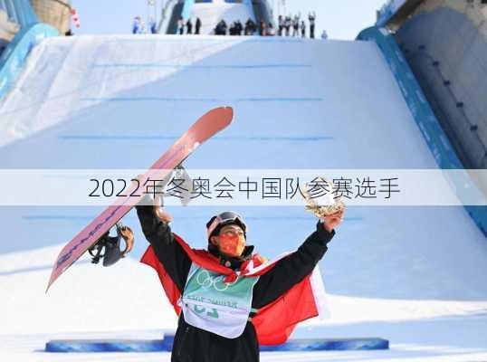 2022年冬奥会中国队参赛选手