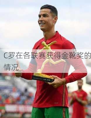 C罗在各联赛获得金靴奖的情况