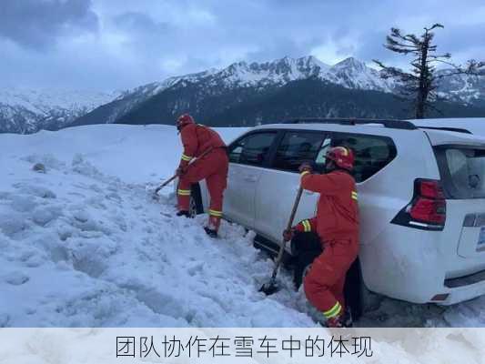 团队协作在雪车中的体现