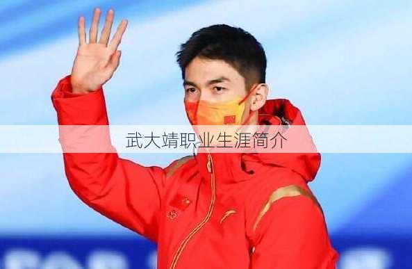 武大靖职业生涯简介