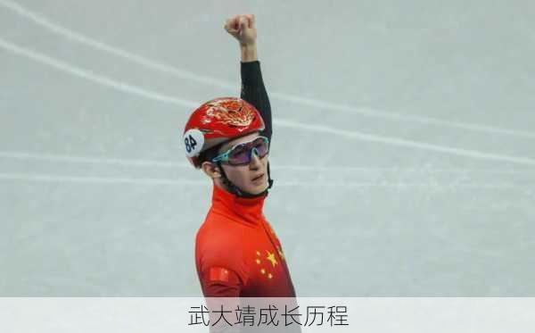 武大靖成长历程