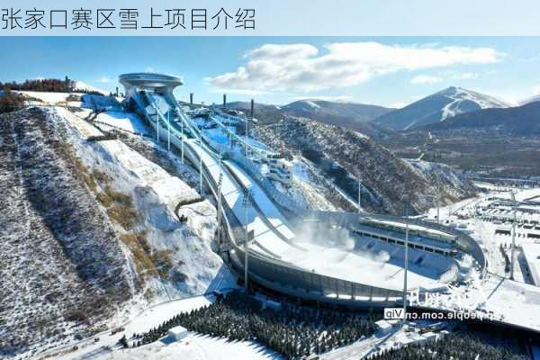 张家口赛区雪上项目介绍