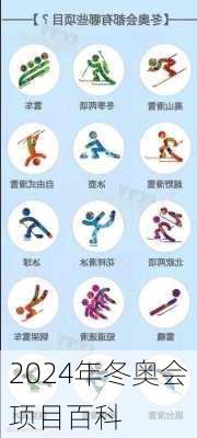 2024年冬奥会项目百科