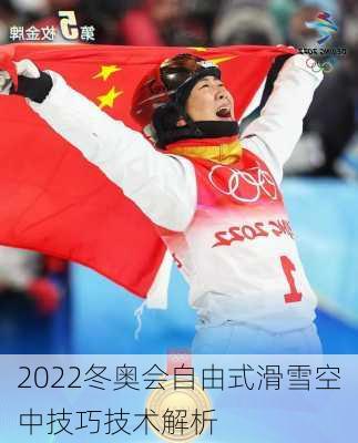 2022冬奥会自由式滑雪空中技巧技术解析