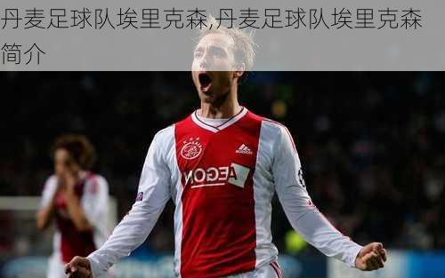 丹麦足球队埃里克森,丹麦足球队埃里克森简介