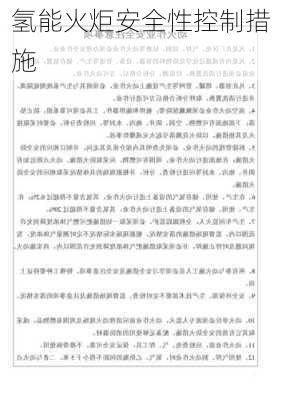 氢能火炬安全性控制措施
