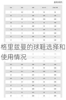 格里兹曼的球鞋选择和使用情况