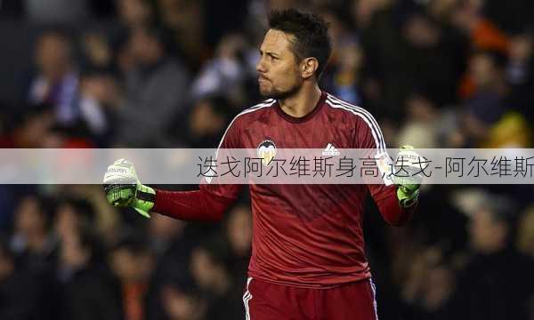 迭戈阿尔维斯身高,迭戈-阿尔维斯