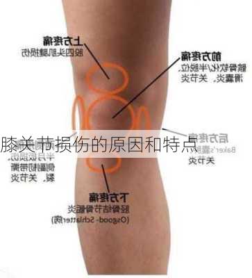 膝关节损伤的原因和特点