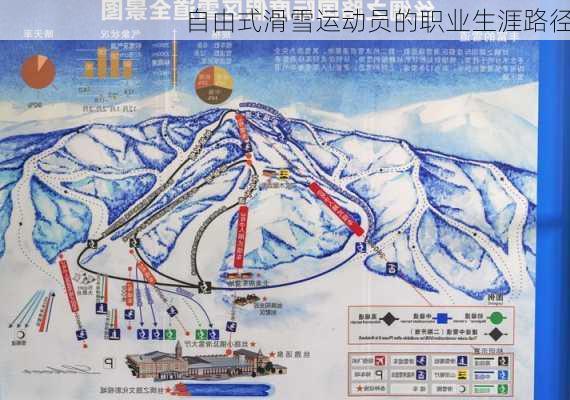 自由式滑雪运动员的职业生涯路径