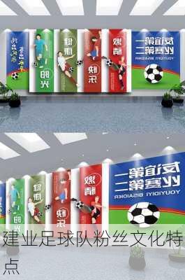 建业足球队粉丝文化特点