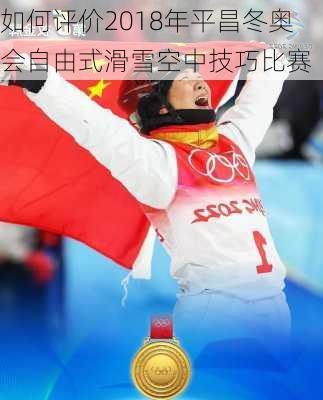 如何评价2018年平昌冬奥会自由式滑雪空中技巧比赛