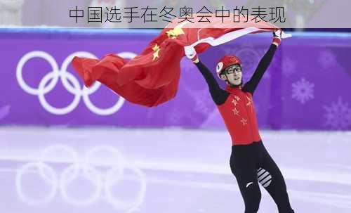 中国选手在冬奥会中的表现