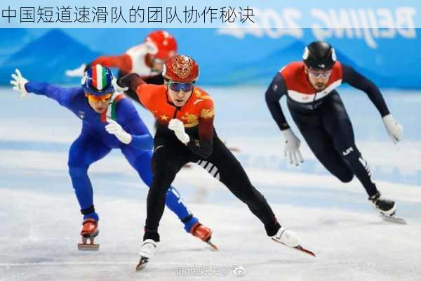 中国短道速滑队的团队协作秘诀