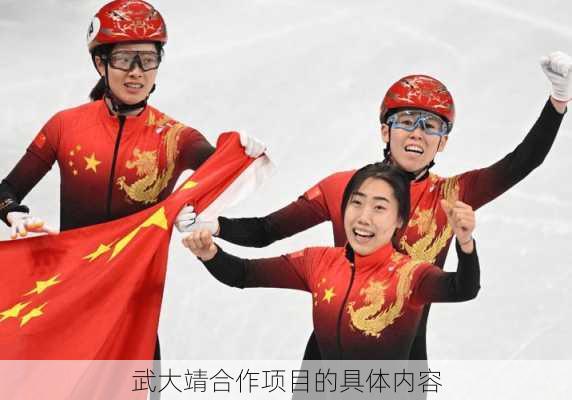 武大靖合作项目的具体内容