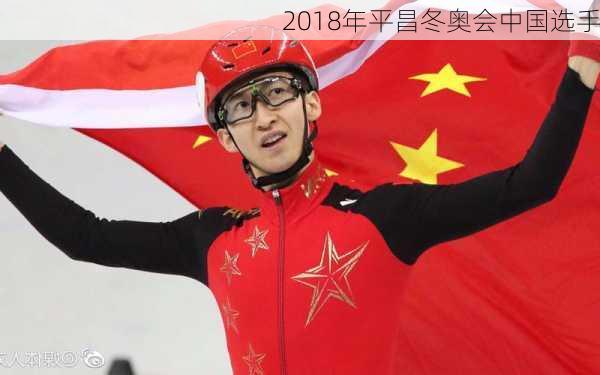 2018年平昌冬奥会中国选手