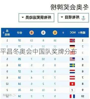 平昌冬奥会中国队奖牌分布