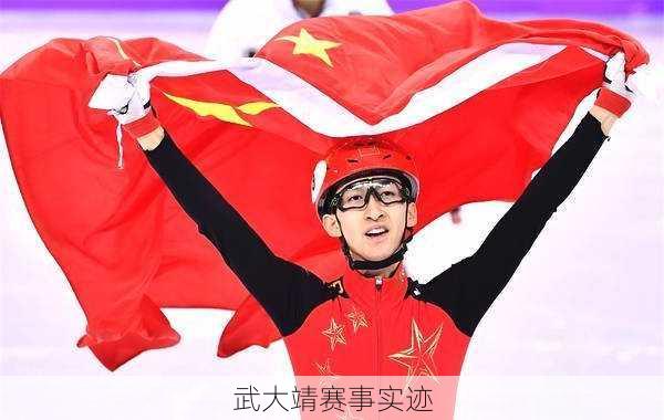 武大靖赛事实迹