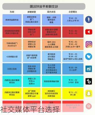 社交媒体平台选择