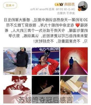 苏翊鸣夺冠后感言