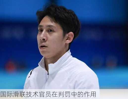 国际滑联技术官员在判罚中的作用