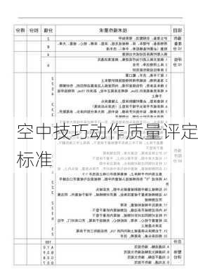 空中技巧动作质量评定标准