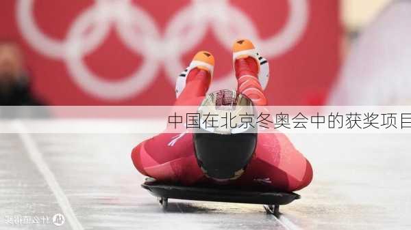 中国在北京冬奥会中的获奖项目
