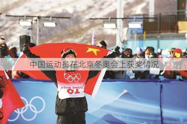 中国运动员在北京冬奥会上获奖情况