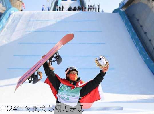 2024年冬奥会苏翊鸣表现