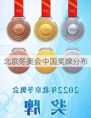 北京冬奥会中国奖牌分布
