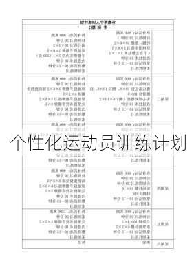 个性化运动员训练计划