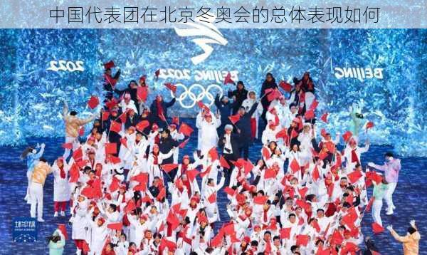 中国代表团在北京冬奥会的总体表现如何