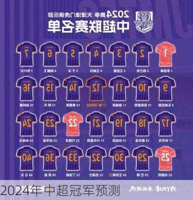 2024年中超冠军预测