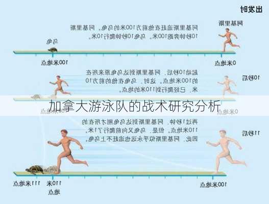 加拿大游泳队的战术研究分析