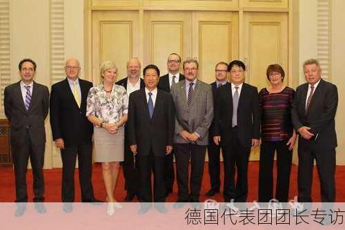 德国代表团团长专访