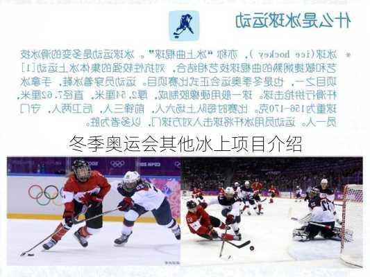 冬季奥运会其他冰上项目介绍