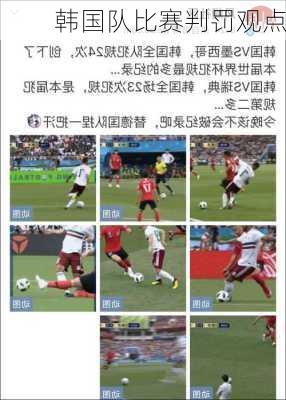 韩国队比赛判罚观点