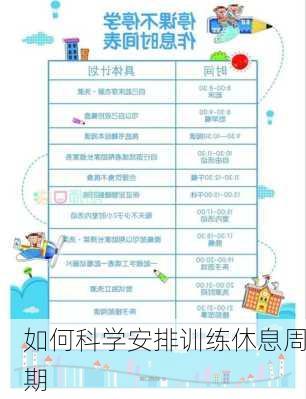 如何科学安排训练休息周期
