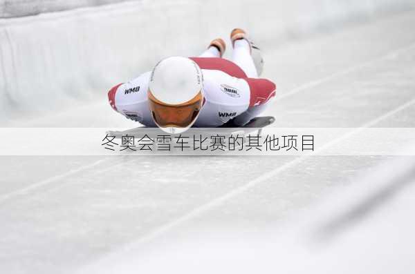 冬奥会雪车比赛的其他项目