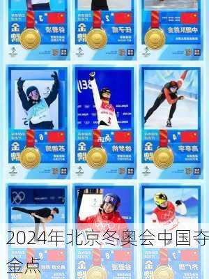 2024年北京冬奥会中国夺金点