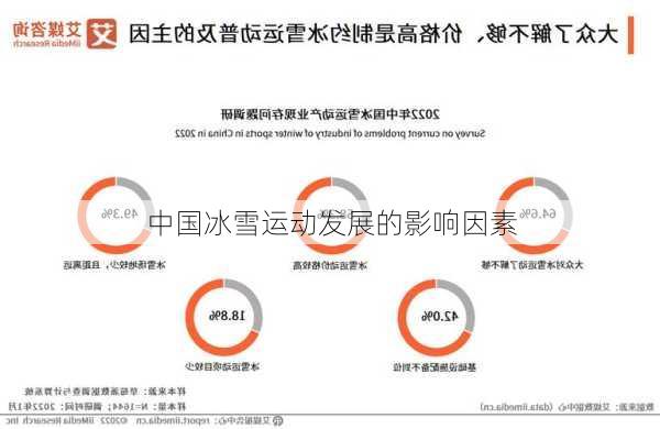 中国冰雪运动发展的影响因素