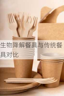 生物降解餐具与传统餐具对比